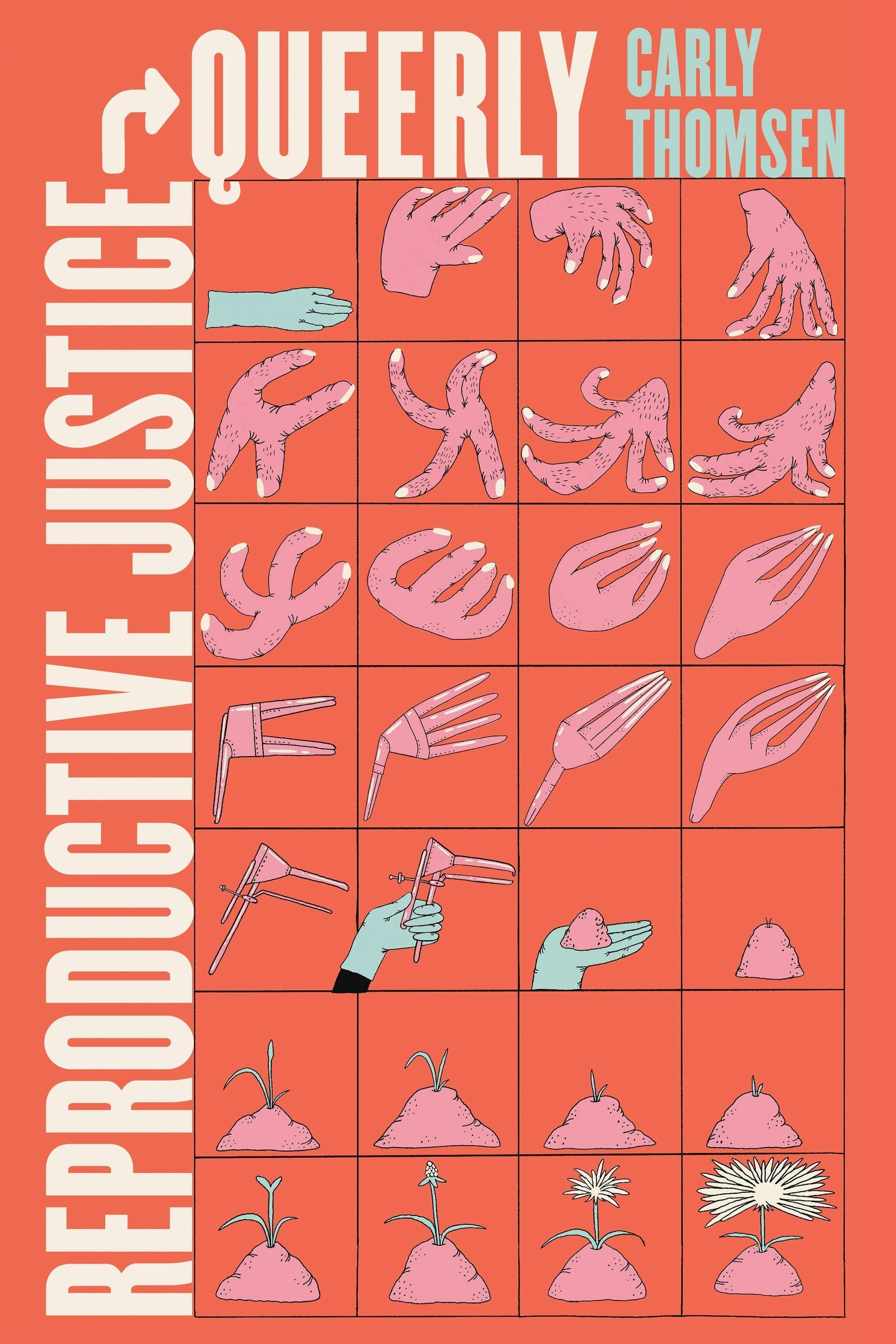 Book cover image for Reproductive Justice, Queerly ISBN: 9780520385351